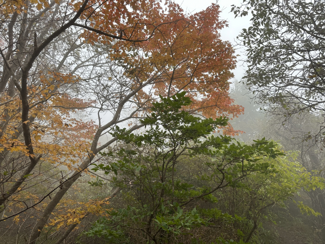 칠선봉을 지나 영신봉까지 구름안개가 산 전체를 에워싸, 몽환적인 분위기를 자아낸다.