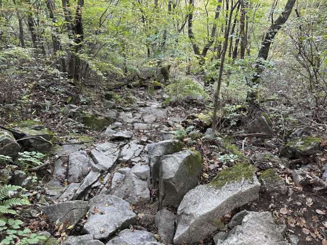 '성백 종주'의 마지막인 백무동으로 내려오는 길은 상당 구간이 돌길이어서 발을 잘 디뎌야 한다.