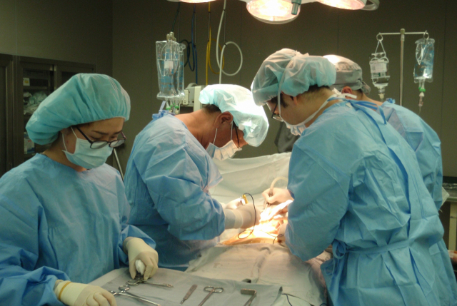 만성콩팥병 치료제인 ‘SGLT-2 억제제’는 신장이식 환자의 이식 신장의 수명을 연장하고 심혈관계 합병증을 감소시킬 것으로 기대된다. BHS한서병원 신장이식팀이 신장 이식 수술을 진행하고 있다. BHS한서병원 제공