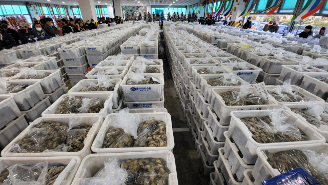 경남지역 굴 양식업계가 모처럼 맞은 풍작에도 한숨이 깊어지고 있다. 지난해 경남 통영시 생굴 초매식 현장.