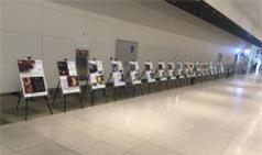 독도 해양생물 포스터 전시. 수과원 제공