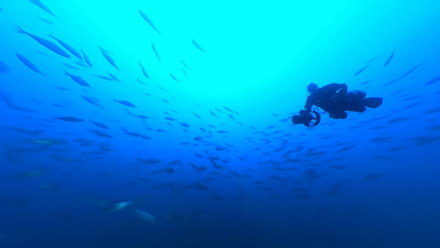 독도 수중 촬영중인 다이버 VR영상 캡쳐. 수과원 제공