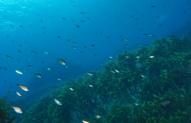 독도지형별 VR영상 캡쳐(물골). 수과원 제공