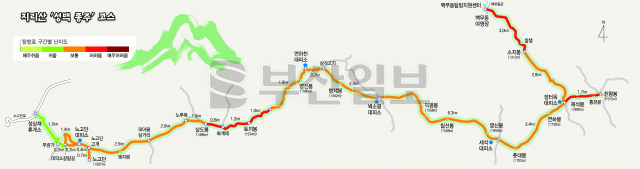 그래픽=류지혜 기자 birdy@