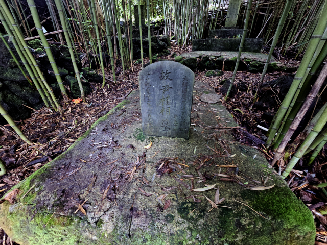 창원대박물관이 최근 발견한 울산시민 윤동균(80)씨의 조부, 윤원식 선생의 묘. 창원대 제공