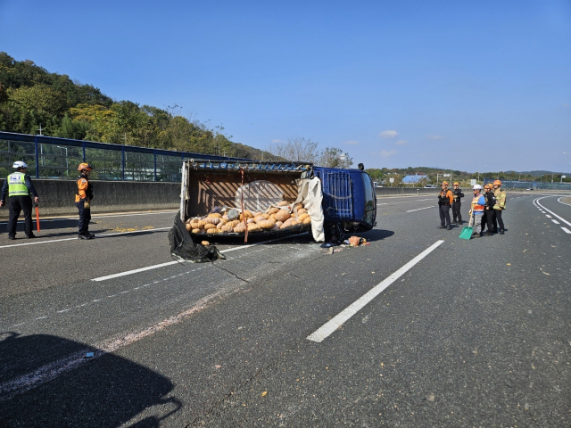 30일 낮 12시 40분쯤 남해고속도로 진성IC 인근에서 1t 화물차가 전도돼 호박 500여 개가 도로에 쏟아졌다. 독자 제공