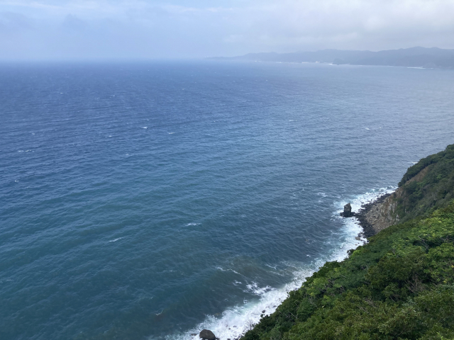 1950년대 제주에서 희생된 주검이 밀려든 대마도 서북단 해안.