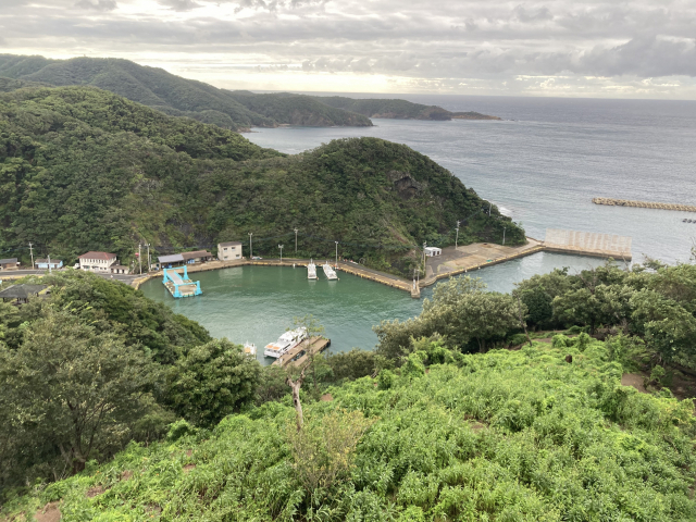 한국전망대에서 본 와니우라 항.