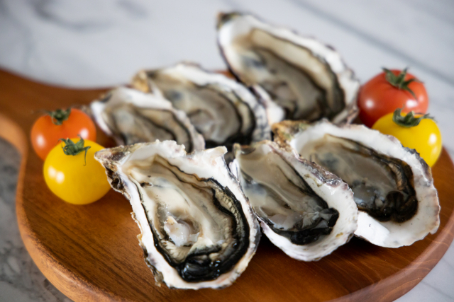 찬바람과 함께 돌아온 ‘바다의 우유’ 굴. 수협 제공