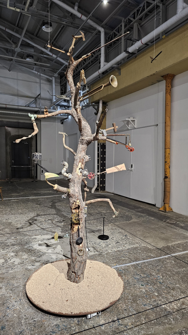 박주현 '더 사운드 오브 어 트리'. 오금아 기자