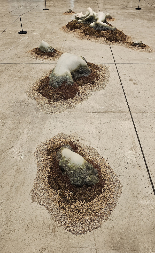 류예준 'Settle in'. 오금아 기자