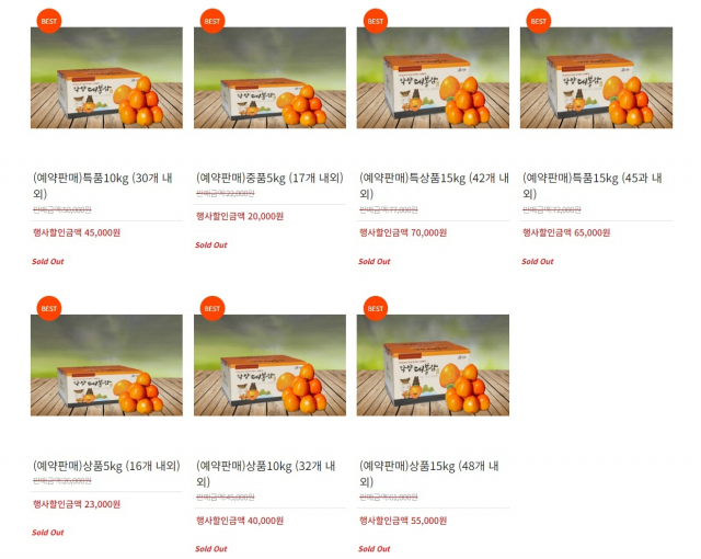 경남 하동군 악양면 청년회 대봉감 온라인 쇼핑몰 캡처. 대부분의 상품이 Sold Out(매진)된 상태다. 김현우 기자