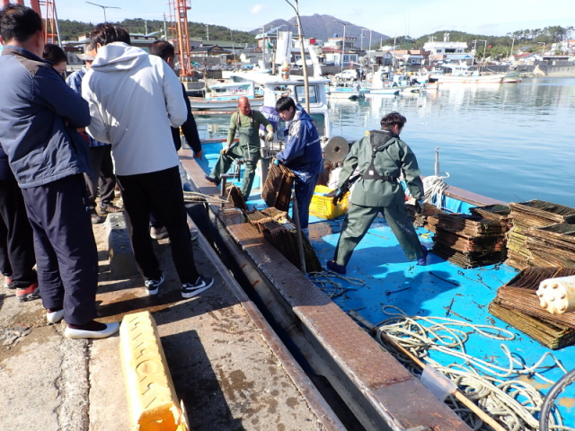 기장군청, 자체생산 기장형 미역 종자 배부