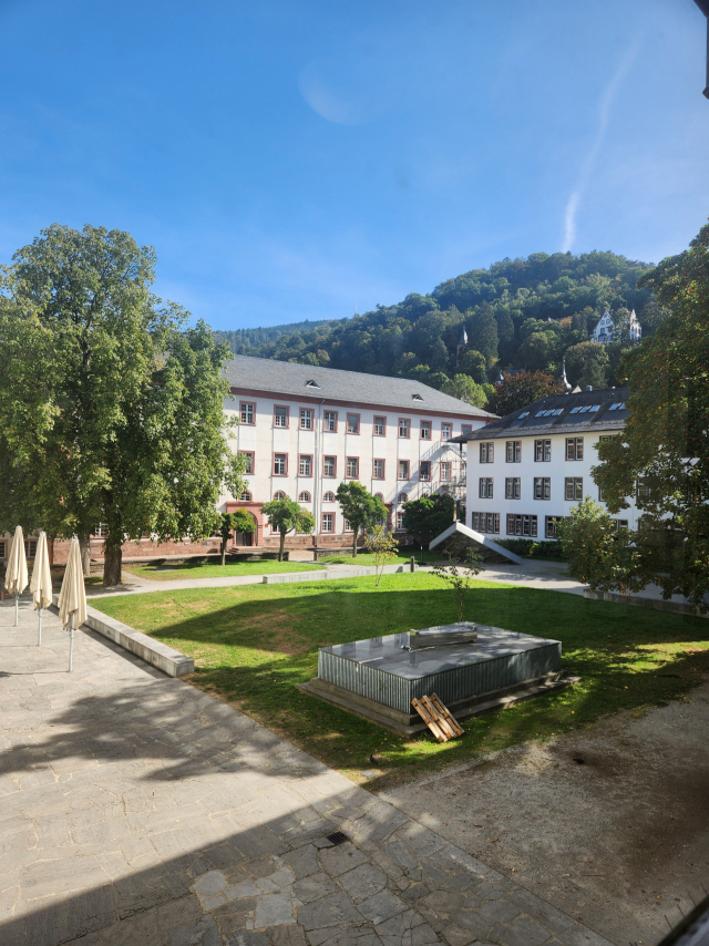 독일 하이델베르크대 구시가지 캠퍼스 인근 거리는 평일에도 인파가 몰려 북적인다. 하이델베르크 캠퍼스를 중심으로 인근 상권이 활성화돼 지역 경제 성장에도 긍정적인 영향을 끼치고 있다. 아래 작은 사진은 하이델베르크대 건물을 끼고 있는 공원. 시민과 관광객이 별다른 제지 없이 대학 건물 사이를 자유롭게 거닐 수 있어 대학은 친화적인 공간으로도 활용되고 있다.