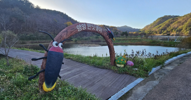 영양국제밤하늘보호공원에 있는 반딧불이생태공원. 반딧불이생태공원은 천문대 앞 다리 건너편에 있는 인공호수 공원이다.