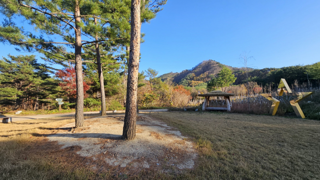 영양국제밤하늘보호공원 반딧불이생태숲 하늘광장.