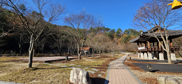 영양국제밤하늘보호공원에 있는 캠핑장. 영양국제밤하늘보호공원은 주변에 숙소가 몇몇 있지만, 별 관측과 촬영 이동 동선을 최소화하기 위해 영양군이 운영하는 영양국제밤하늘보호공원 내 펜션이나 캠핑장을 이용하는 게 좋다. 펜션은 야생화관, 반딧불이관, 천문대관이 있다. 야생화관과 반딧불이관은 영양군생태공원사업소와 청소년수련원이 있는 곳에 있고, 천문대관은 영양반딧불이천문대 근처에 있다. 천문대관은 리모델링 중이다. 캠핑장은 영양군생태공원사업소와 청소년수련원 입구에 있다.