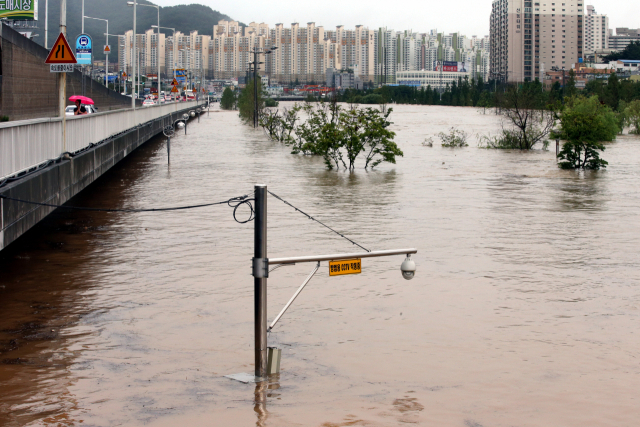 기습폭우로 범람 위기에 처했던 부산 수영강 시민공원 일대. 부산일보DB