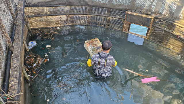 경남 남해군 지족해협의 한 죽방렴 내부 모습. 멸치는 온데 간데 없고 쓰레기만 가득하다. 김현우 기자