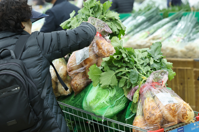 15일 서울 서초구 하나로마트 양재점을 찾은 시민이 김장 재료를 고르고 있다. 이날 전문가격조사기관 한국물가협회에 따르면 올해 김장에 쓸 배추, 무, 고춧가루, 천일염 등 재료 15개 품목을 전통시장에서 구매하는 비용은 4인 가족 기준 35만520원이다. 대형마트에서 김장 재료를 구매하는 비용은 43만3천990원으로 조사됐다. 작년과 비교하면 각각 2.8%, 8.3% 줄었다. 연합뉴스