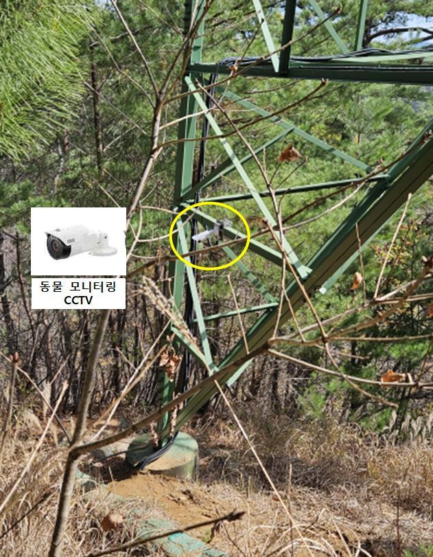 시범철탑에 설치된 동물 모니터링용 CCTV(노란색 원 안쪽) 및 확대 이미지. 한전 제공