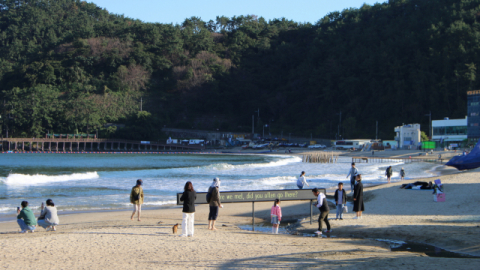 막 내린 바다미술제 “가장 지역적이고 친환경적”