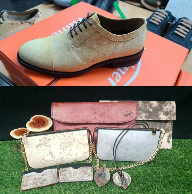 버섯의 균사체를 배양한 뒤 가공공정을 거쳐 버섯가죽으로 만든 구두와 핸드백. 농촌진흥청 제공