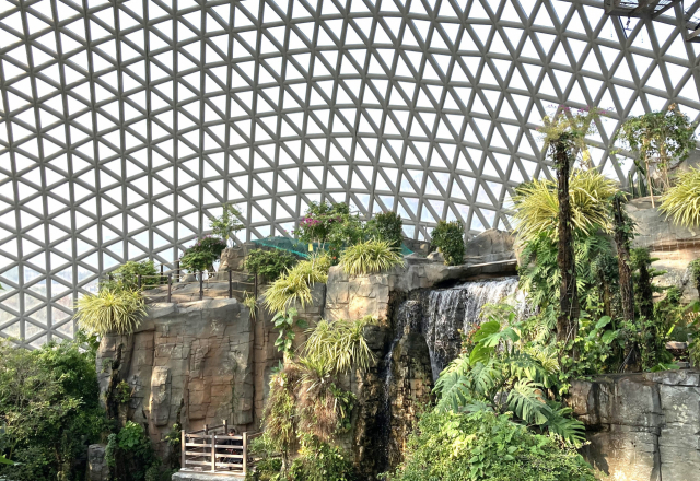 거제식물원 정글돔은 동남아 열대 우림을 방문한 기분을 준다.