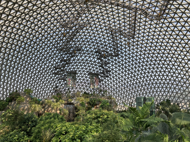 거제식물원 정글돔의 유리 천장과 열대 우림이 절묘한 조화를 이루고 있다.