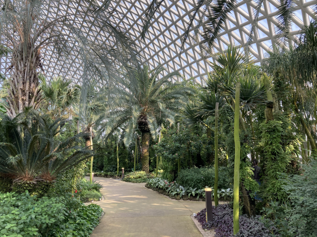 거제식물원 정글돔 내부 열대 우림 산책로는 이국적인 화초로 가득하다.