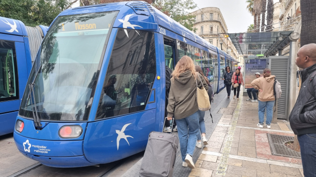 몽펠리에 시내를 거미줄처럼 연결하고 있는 트램. 트램은 몽펠리에 대학생은 물론 시민들의 발 역할을 톡톡히 한다.