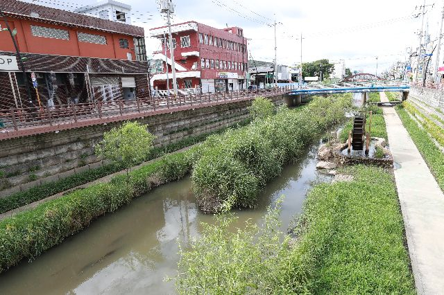 부산 사상구 삼락동 사상생활사박물관 앞 삼락천. 부산일보DB