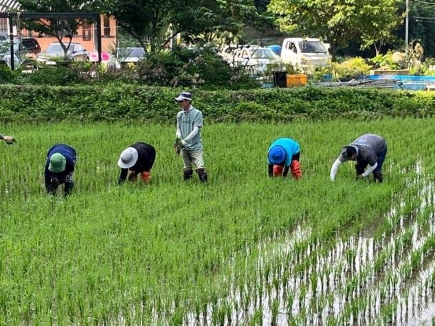 농림축산식품부와 한국농어촌공사는 농업환경보전프로그램 우수사례 경진대회 시상식을 지난 8일 세종정부컨벤션센터에서 개최했다고 11일 밝혔다. 사진은 경북 문경 희양산 마을 주민들이 제초제를 쓰지 않고 손으로 제초하는 모습. 한국농어촌공사 제공