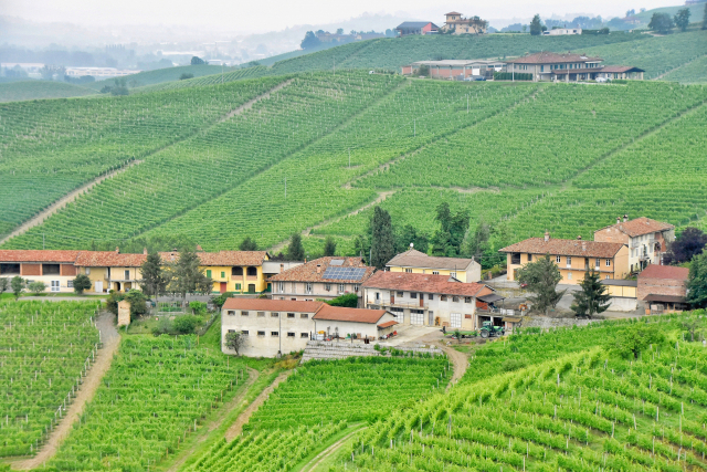 바롤로 와이너리로 가는 도중에 버스 창 밖으로 아름다운 시골 풍경이 지나가고 있다. 손준호 준투어 대표