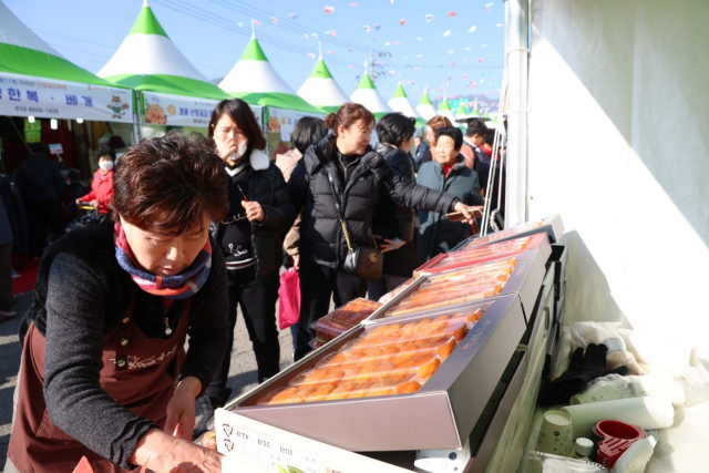 산청곶감의 원료인 산청 고종시는 ‘대한민국 대표과일 선발대회’에서 8년 연속 최우수로 선정되는 등 뛰어난 품질과 맛을 인정받고 있다. 김현우 기자