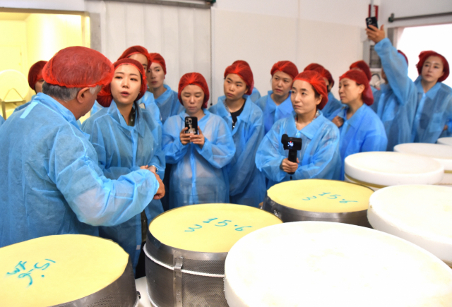 미식투어 참가자들이 파르메산 치즈 공장에서 안내인의 설명을 듣고 있다. 손준호 준투어 대표
