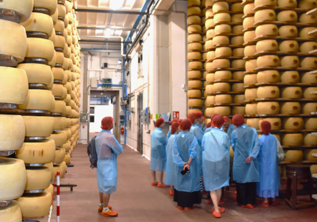 미식투어 참가자들이 커다란 치즈 덩어리가 차곡차곡 쌓인 치즈공장을 둘러보고 있다. 손준호 준투어 대표