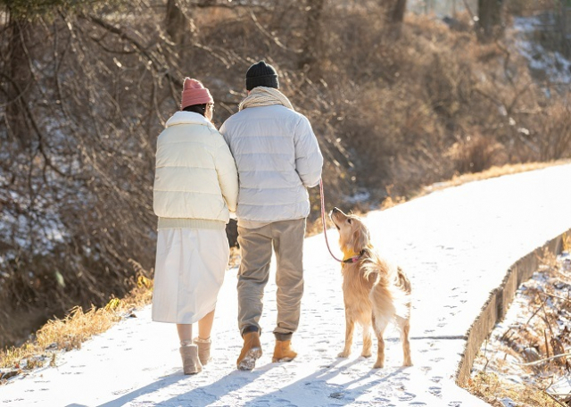 지자체에 등록된 반려견과 반려묘가 328만 마리를 넘었다. 그러나 실제로는 등록 안된 경우도 다수여서 집에서 키우는 반려견과 반려묘는 이보다 훨씬 많을 것으로 추정된다. 이미지투데이