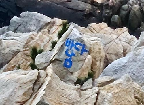 울산 대왕암공원 바위에 ‘바다남’이라는 낙서가 칠해져 있다. 울산 동구청 제공