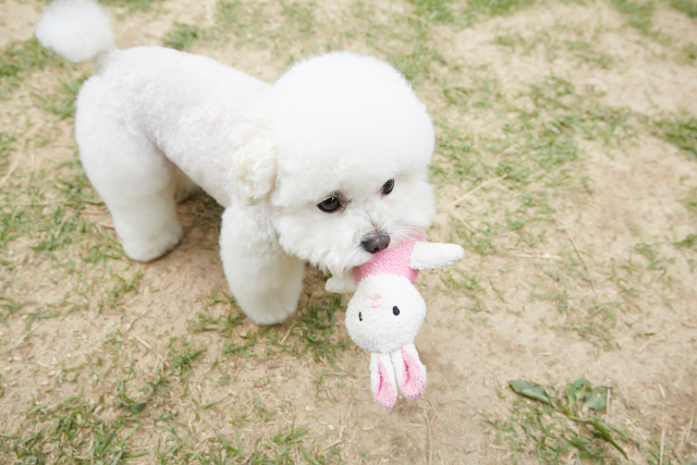 해당 사진은 기사와 직접적인 관련이 없습니다. 이미지투데이 제공