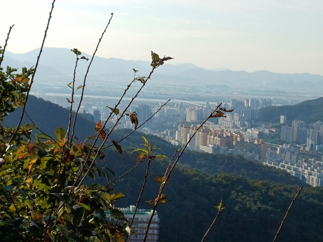 수정산 정상에서 바라보이는 낙동강 모습. 요산 김정한은 이곳에 직접 올라 낙동강이 보인다는 사실을 확인했다. 최학림 기자 theos@