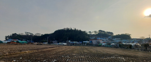 낙동강 들판의 덕도산은 외따로 떨어져 있는 해발 38.3m 야산, 독메다. 미천한 삶을 견디리라는 것이 요산의 독메 사상이다. 최학림 기자 theos@