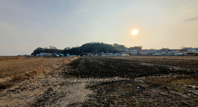 낙동강 들판의 덕도산은 외따로 떨어져 있는 야산으로, 요산 작품에 나오는 독메다. 미천한 삶을 견디리라는 것이 요산의 독메 사상이다. 최학림 기자 theos@