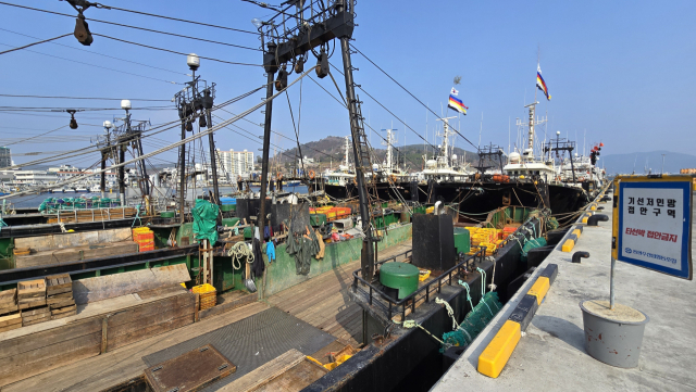 통영시 동호항 물량장에 정박 중인 중‧대형쌍끌이저인망 선단. 주로 삼치를 잡는데 올해 6월까지 배정된 총허용어획량(TAC)을 모두 소진해 출어를 못하고 있다. 김민진 기자