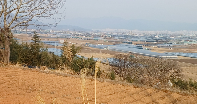 덕도산에서는 멀리 대동 수문을 비롯한 낙동강 평야 일대를 시원하게 조망할 수 있다. 최학림 기자 theos@