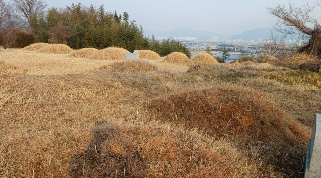 덕도산의 평평한 정상 일대는 주변을 시원하게 전망는 가운데 산소 수백 기가 군집한 공동 묘지에 가깝다. 최학림 기자 theos@