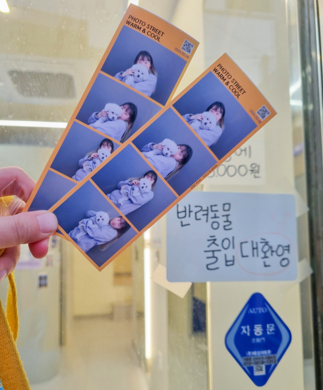 반려견과 네 컷 사진을 찍으며 추억을 남겼다. 김수빈 부산닷컴 기자