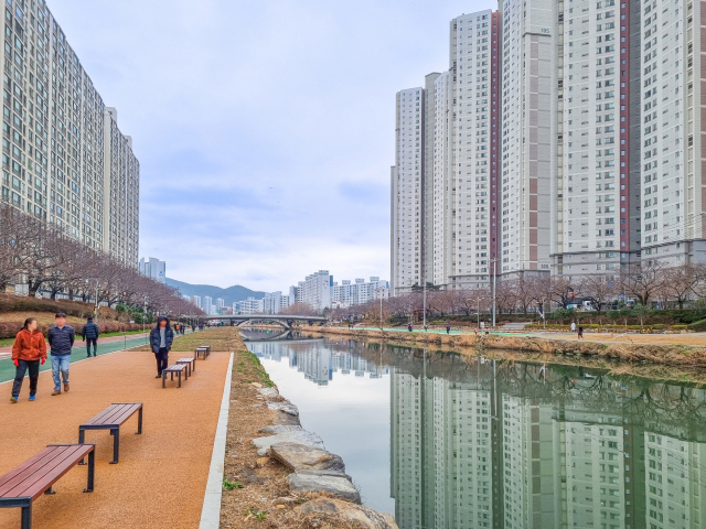 계절의 변화를 온몸으로 느낄 수 있는 온천천은 산책하는 사람들로 항상 붐빈다. 김수빈 부산닷컴 기자