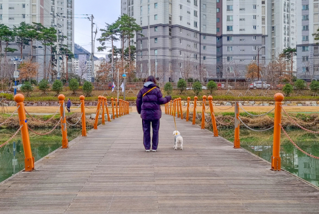 명륜 1번가 스탬프 인증대로 향하던 중 반려견과 다리를 건넜다. 김수빈 부산닷컴 기자