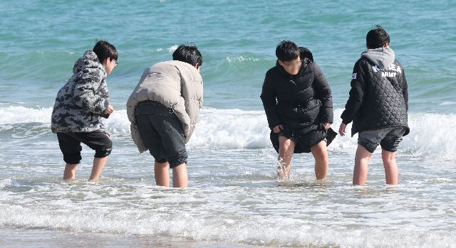 설 연휴 마지막 날인 12일 오후 부산 해운대해수욕장에서 학생들이 포근한 날씨 속에 바지를 걷고 맨발로 바다에 들어가 물놀이를 하고 있다. 정종회 기자 jjh@